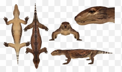 Cynodont Reptiles Png Image With - Cynodont Walking With Dinosaurs,Reptiles Png
