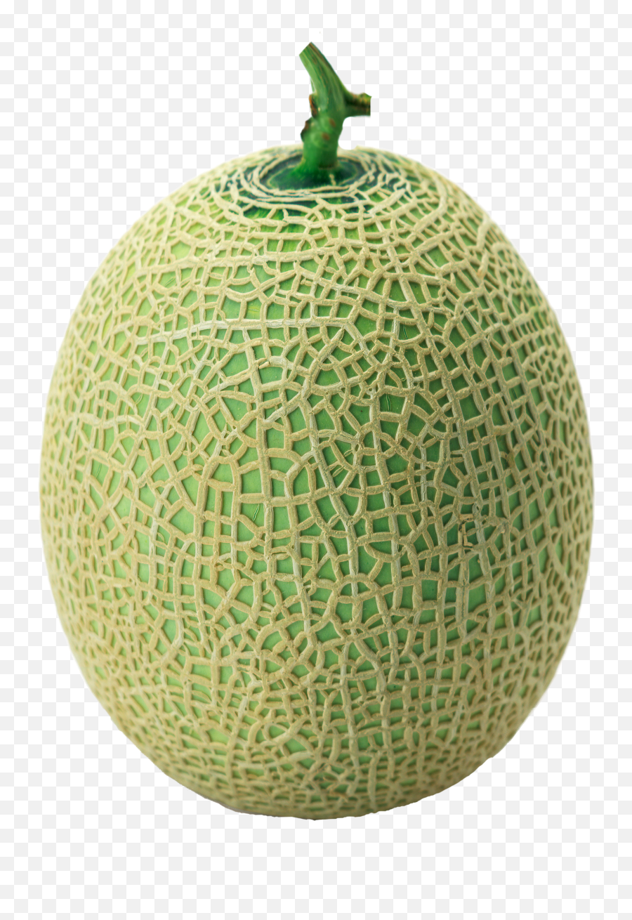Melon Green - Melon Png,Gourd Png