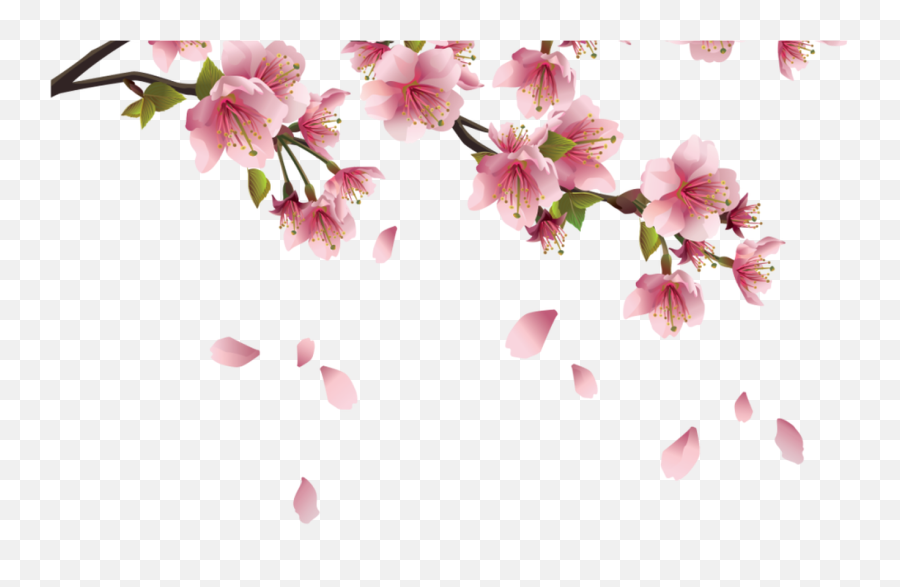 Beautiful Pink Spring Branch - Transparent Background Sakura Flower Png,Pink Petals Png