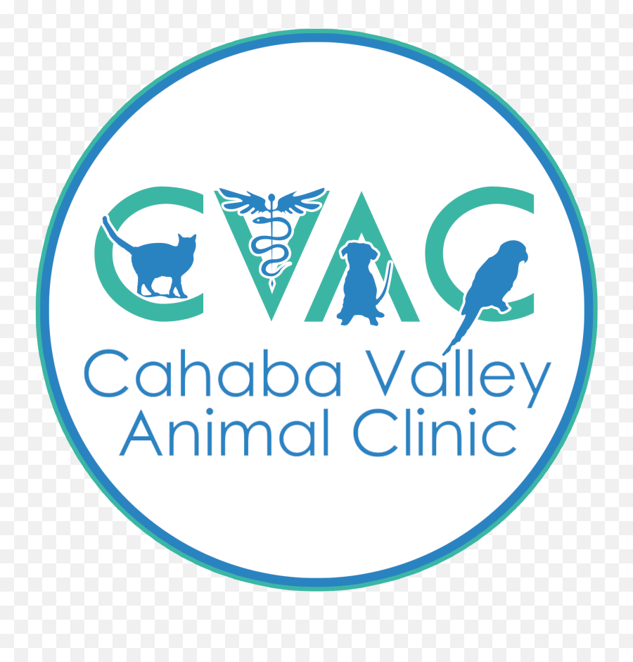 Home Cahaba Valley Animal Clinic In Birmingham Alabama - Bath Abbey Png,Animal Logo