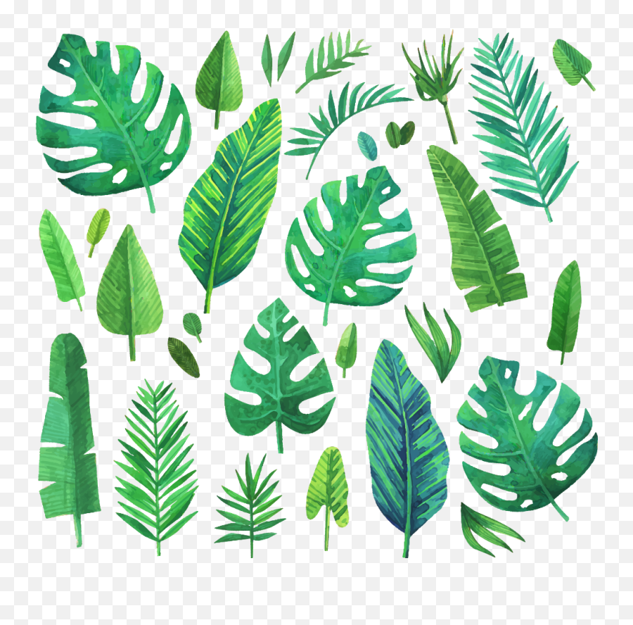 Jungleleaf - Leaves Painting Png,Jungle Plants Png
