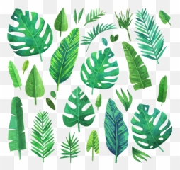 Jungleleaf - Leaves Painting Png,Jungle Plants Png