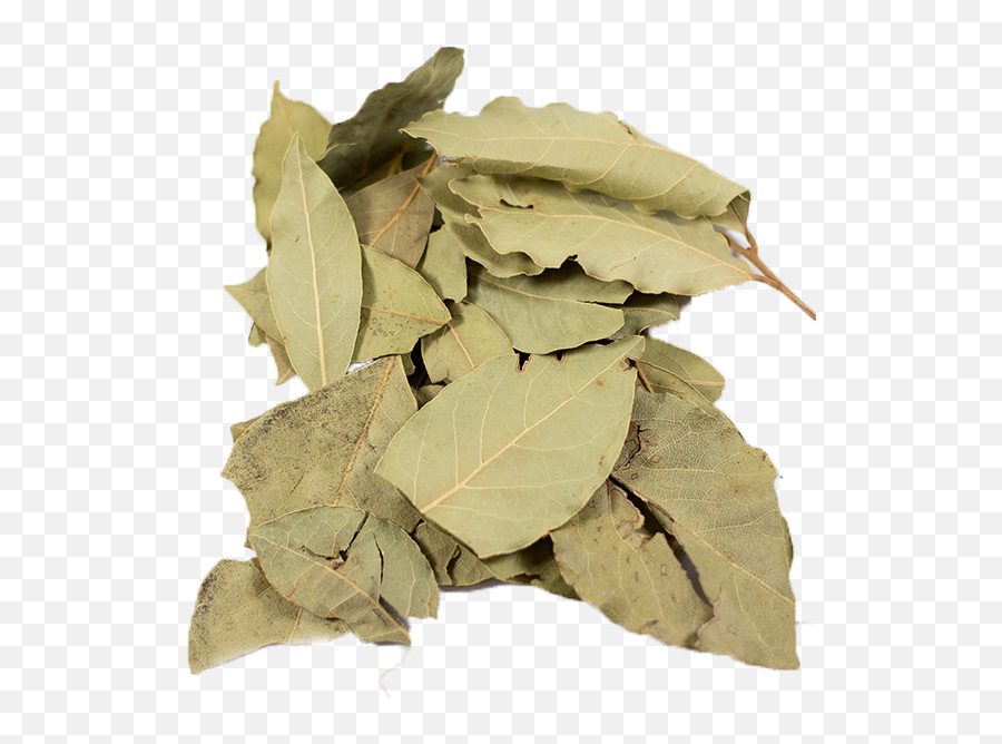Bay Leaves Whole Dried - Dried Bay Leaves Png,Laurel Leaves Png