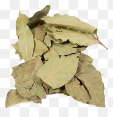 Bay Leaves Whole Dried - Dried Png
