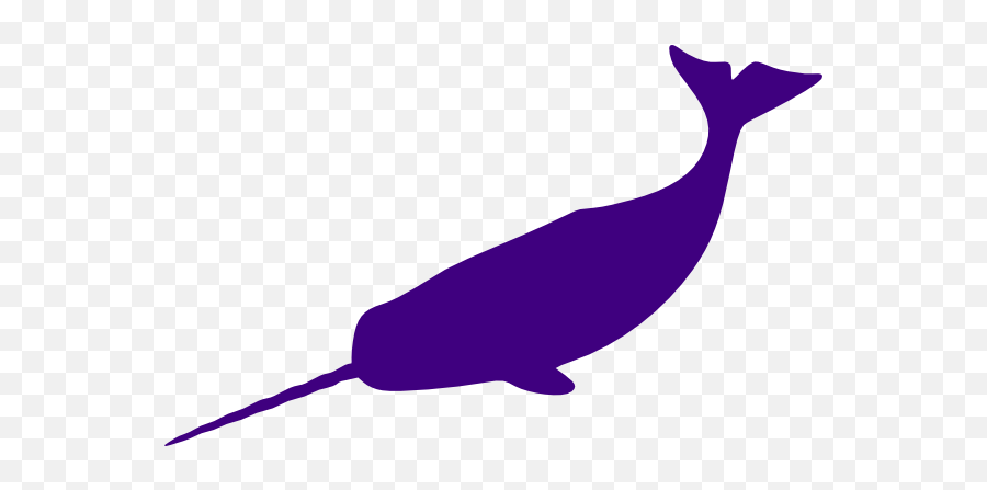 Narwhal Clipart Png People - Narwhal Transparent Background,Narwhal Png