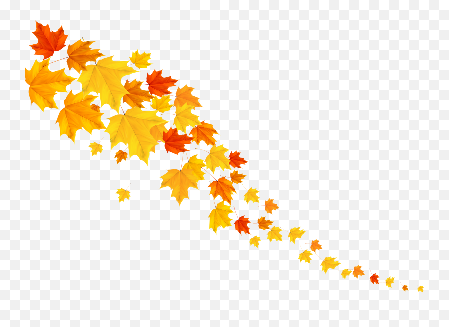 Download Hd Leafs Png Image Gallery - Autumn Decoration Png,Leafs Png