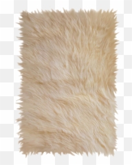 Carpet Png Transparent Image - Bedroom Carpet Top View Png,Carpet Png