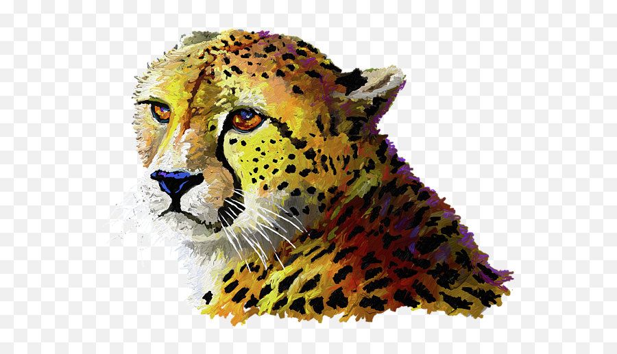 Cheetah Kids T - Shirt Wildlife Png,Cheetah Transparent