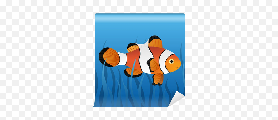 Clownfish Wall Mural U2022 Pixers - We Live To Change Ocellaris Clownfish Png,Clownfish Png