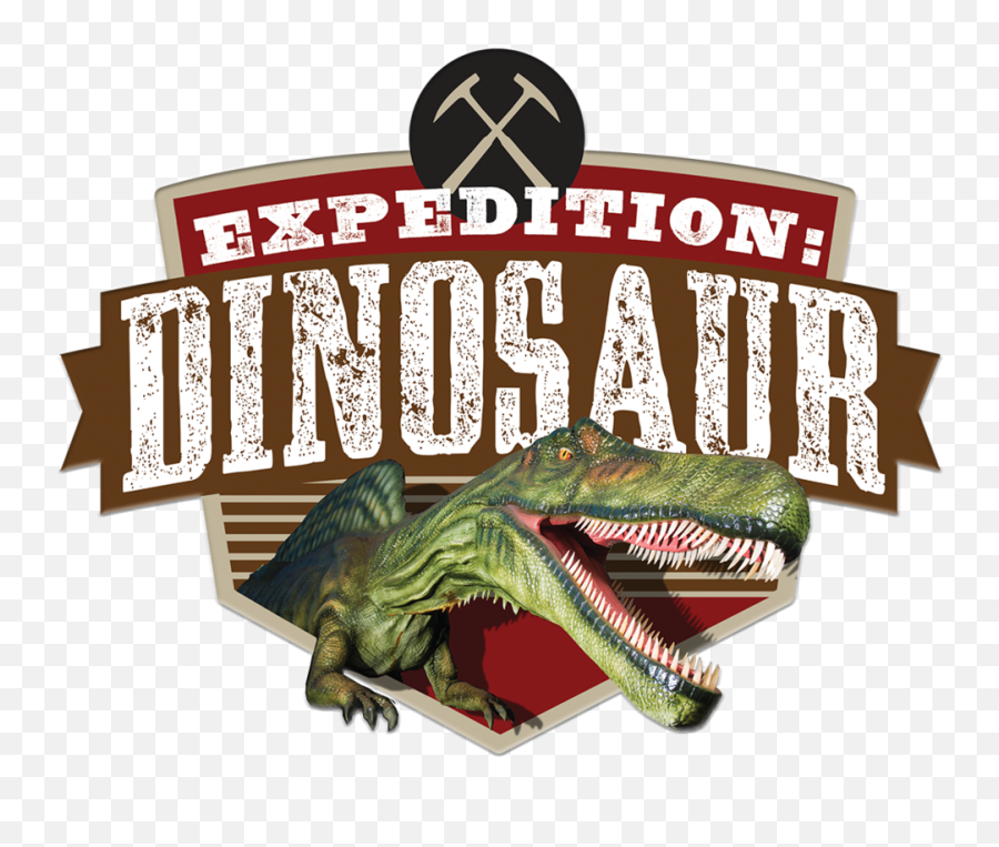 Expedition Dinosaur U2014 Stage 9 Exhibits - Boss Hoss Band Png,Dinosaur Logo