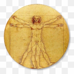Vitruvian - mancutoutds Test Mandela Effect Leonardo Da Vinci Bi png