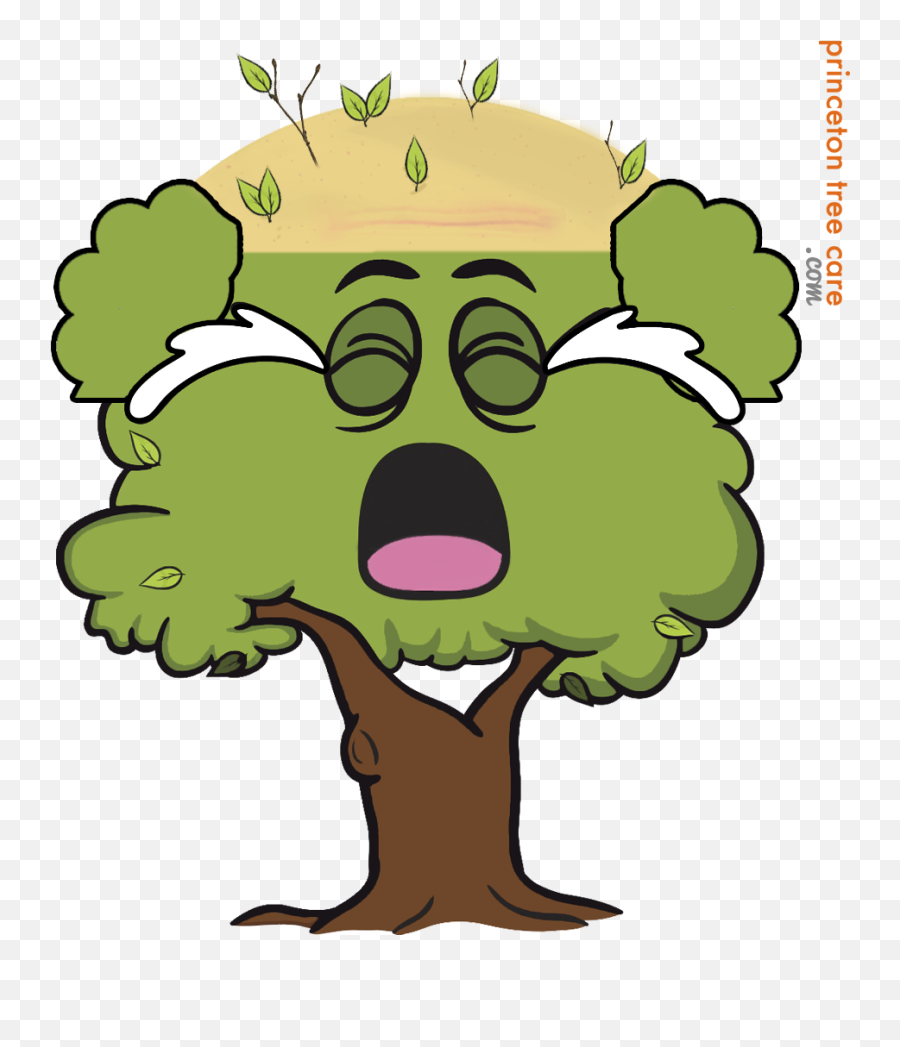 Download Tree Topping - Trees Emoji Full Size Png Image Happy Tree Emoji,Leaf Emoji Png
