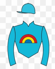 Arco Iris - Haras Ojo De Agua Chaquetilla Png,Arco Png