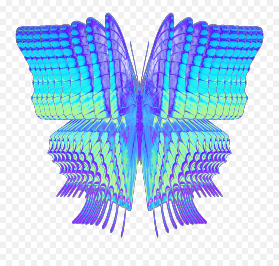 Aesthetic Butterfly Gif - Transparent Butterfly Aesthetic Gif Png,Butterfly Gif Transparent