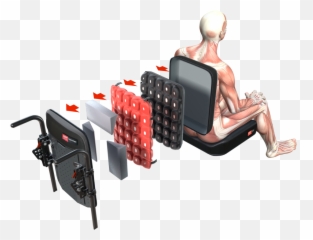 Spex Seating For Cerebral Palsy Medifab Australia - Sitting Png,Person Sitting In Chair Back View Png