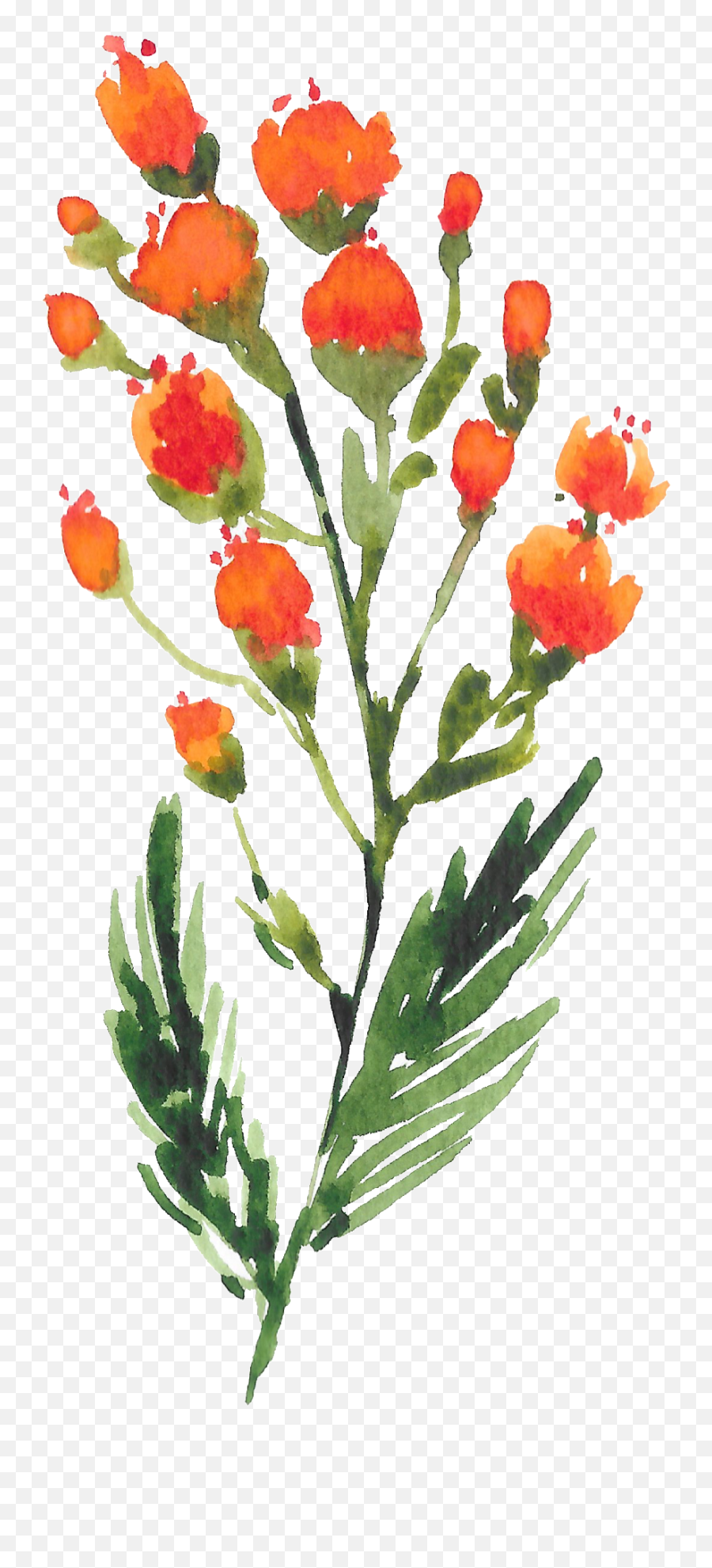 Watercolor Painting Transparent Png - Water Color Wild Flower Png,Wildflowers Png