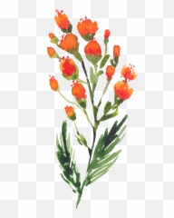 Watercolor Painting Transparent Png - Water Color Wild Flower Png,Wildflowers Png