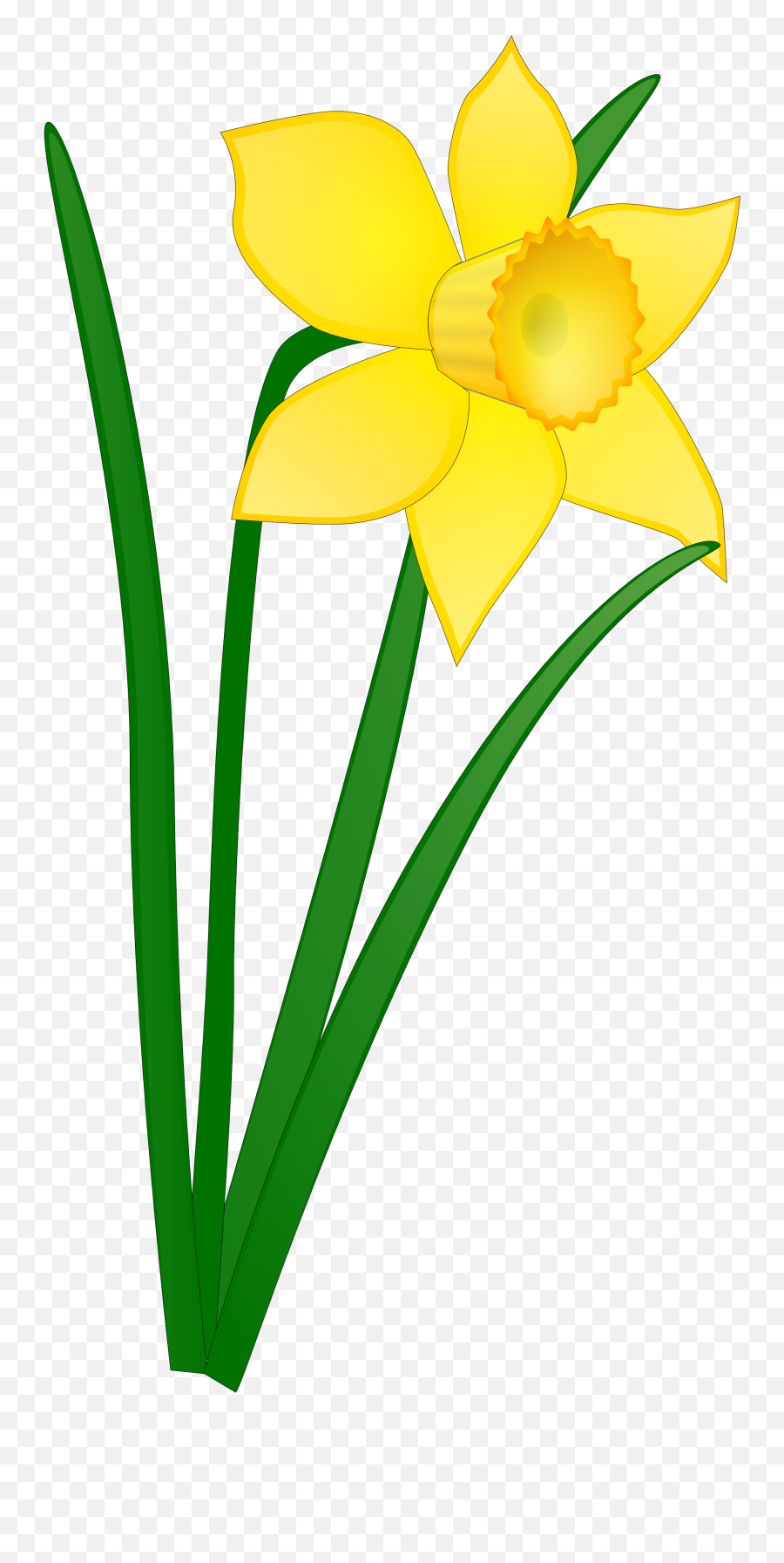 Library Of Free Flower Image Black And Png Yellow Transparent Background