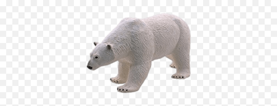 Polar Bear Plastic Model Transparent Png - Stickpng,Polar Bear Png