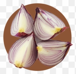 Leaf And Ginger - Superfood png