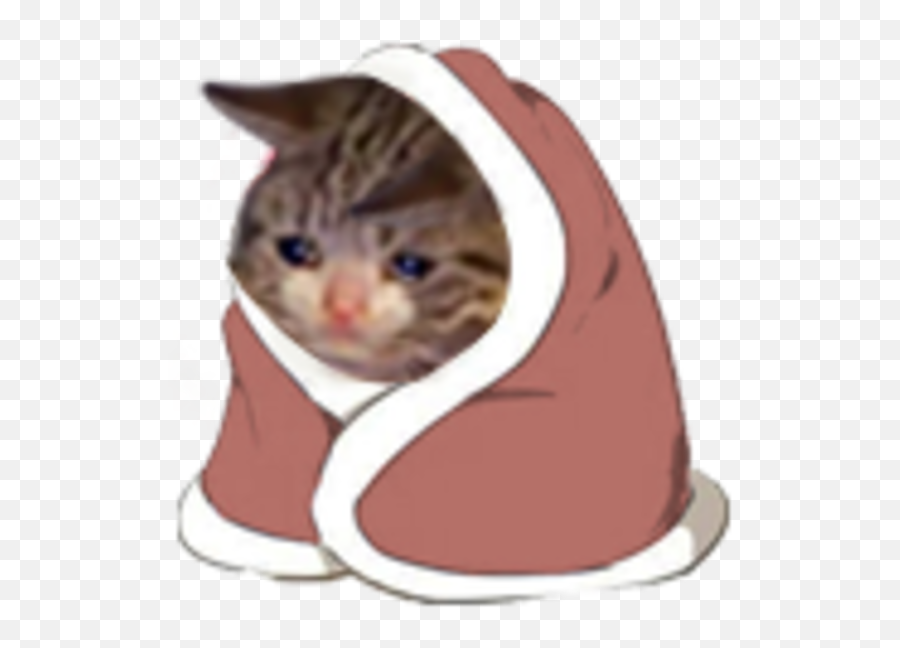 Sad Cat In A Blanket Crying Know Your Meme Sad Cat In Blanket png