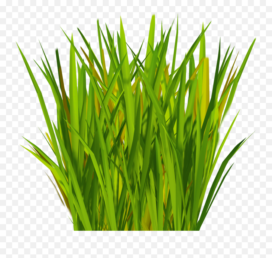 Download Hd Most Realistic Artificial Grass Vu003d1509364788 - Grass Blades Texture Transparent Png,Grass Texture Png