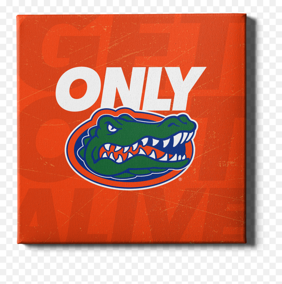 Florida Gators - Logo College Wall Art Png,Gator Icon