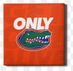 Florida Gators - LOGO College Wall Art png