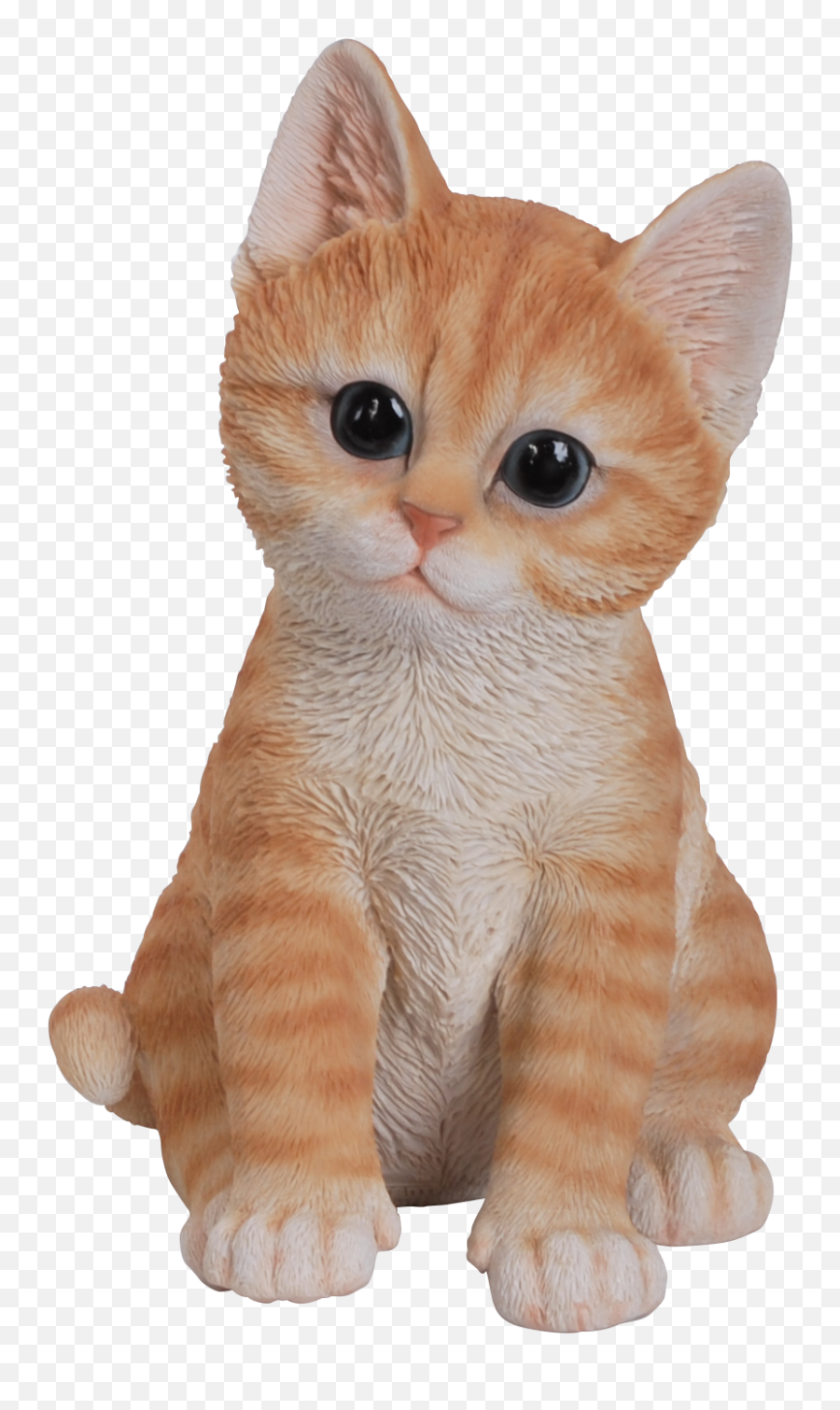 15 Cute Cats Png For Free Download - Cute Cat Png,Cute Cat Png