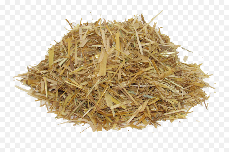 Hay Horse Transparent Png Clipart - Straw Hay Png,Hay Png