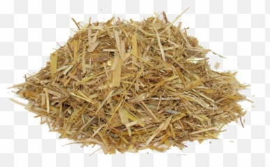 Hay Horse Transparent Png Clipart - Straw Hay Png,Hay Png