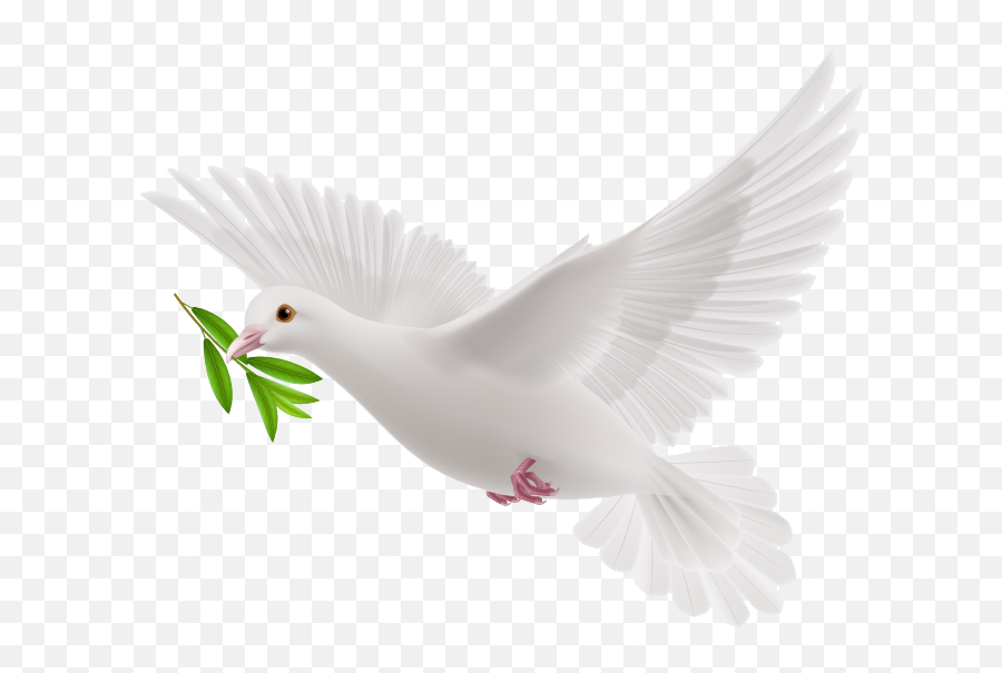 Doves As Symbols - Transparent Peace Dove Png,Pigeon Png