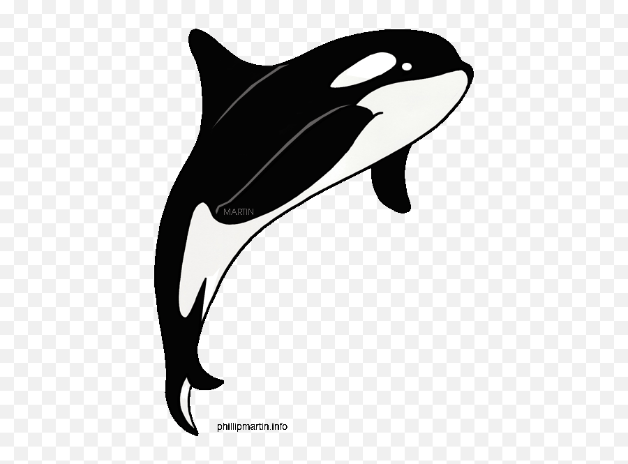 Orca Whale Images Png Clipart - Orca Whale Clip Art,Orca Png