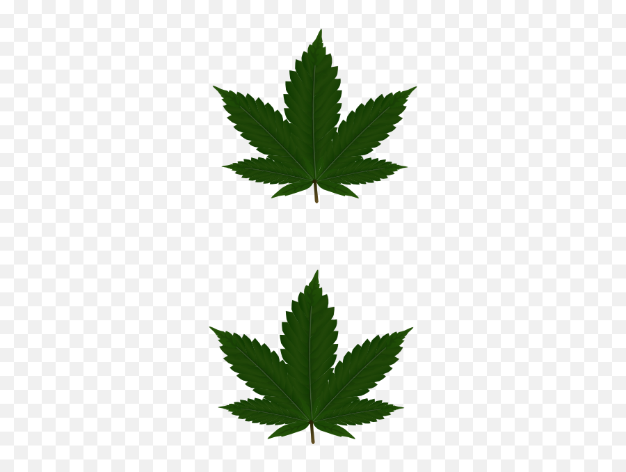 Cannabis Leaves For Pasties Clip Art - Vector Transparent Weed Plant Clipart Png,Pot Leaf Png