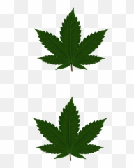 Cannabis Leaves For Pasties Clip Art - vector Transparent Weed Plant Clipart png