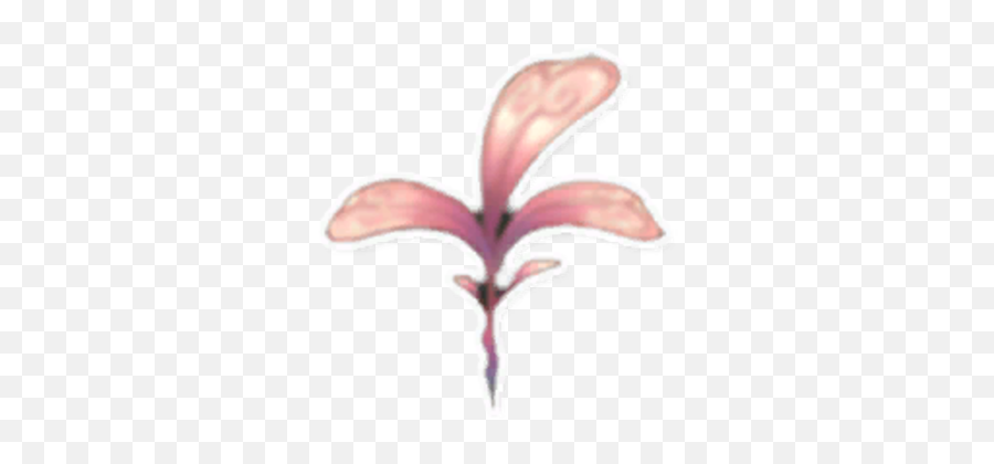 Pink Petals - Lily Png,Pink Petals Png