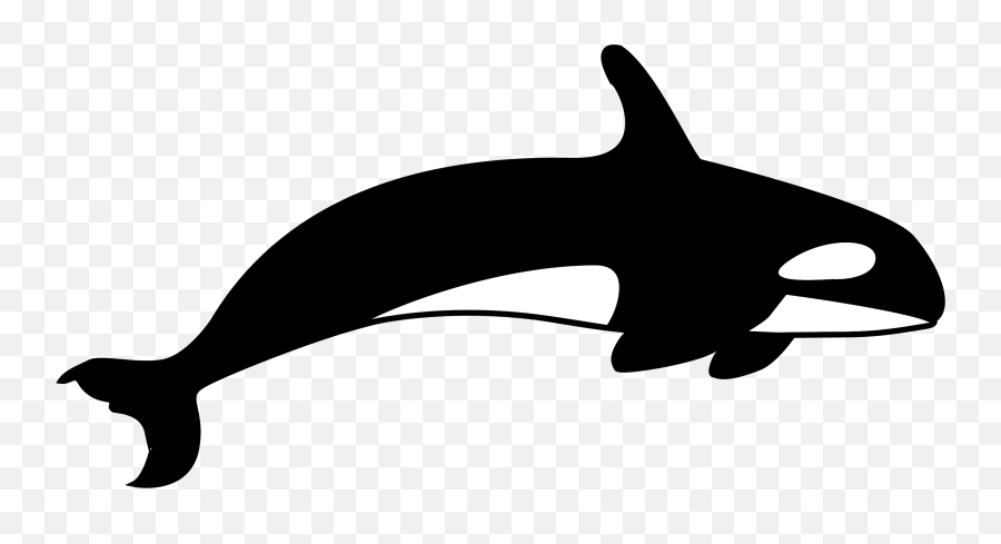 Killer Whale Cetacea Blue - Killer Whale Clipart Black And White Png,Whale Clipart Png