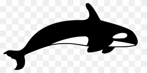 Killer Whale Cetacea Blue - Killer Whale Clipart Black And White Png,Whale Clipart Png