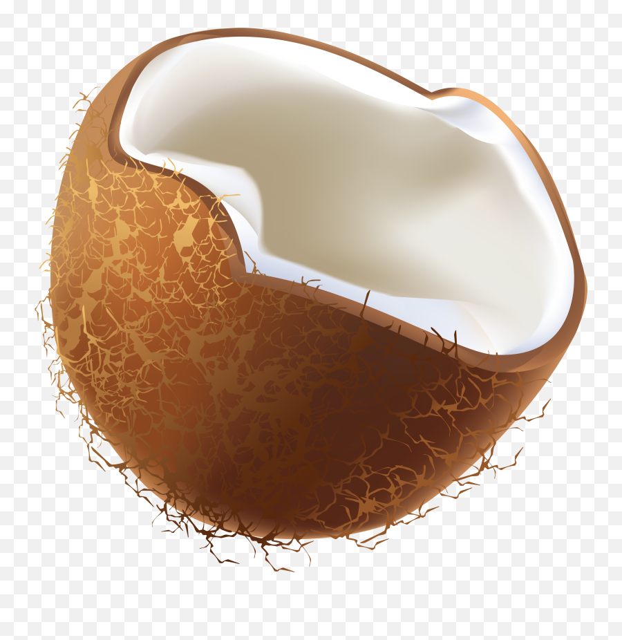 Coconuts Png Image - Transparent Coconut Vector Png,Coconuts Png