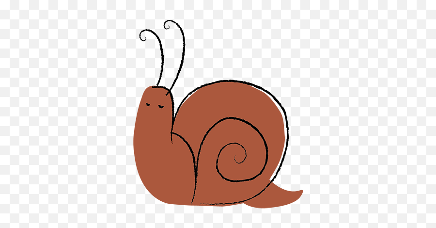 Illustration U2014 Suze Crawford Mcelroy Png Snail