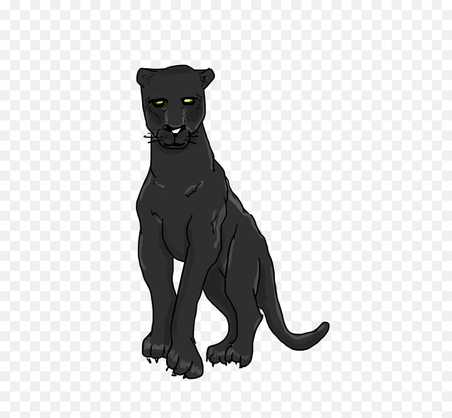 Black Panther Wild Cat - Free Image On Pixabay Panther Clipart Png,Black Panther Png