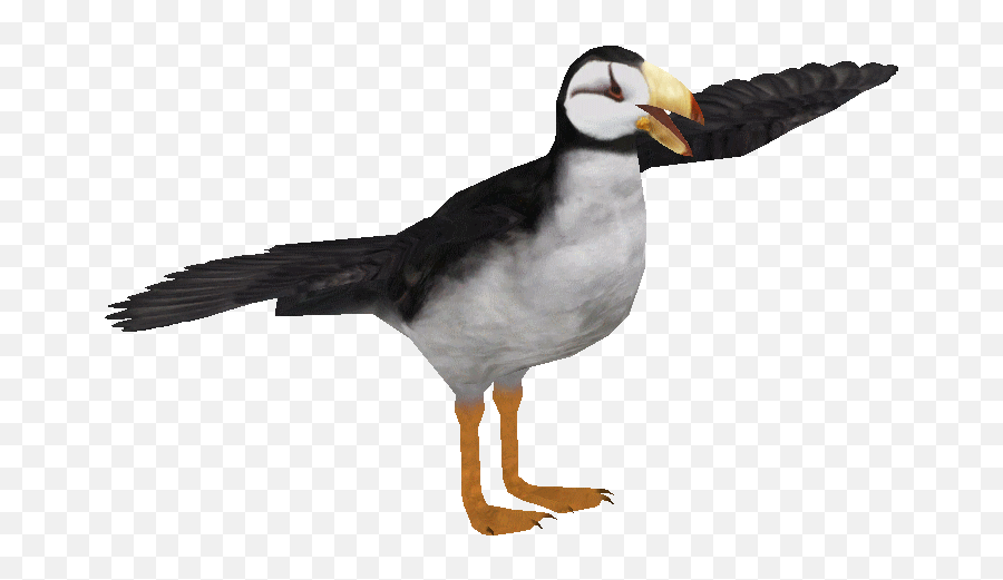 Zt2 Download Library Wiki - Horned Puffin Png,Puffin Png