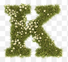 Daisy Font - Handmadefont Politiken Skole Png,Daisies Png