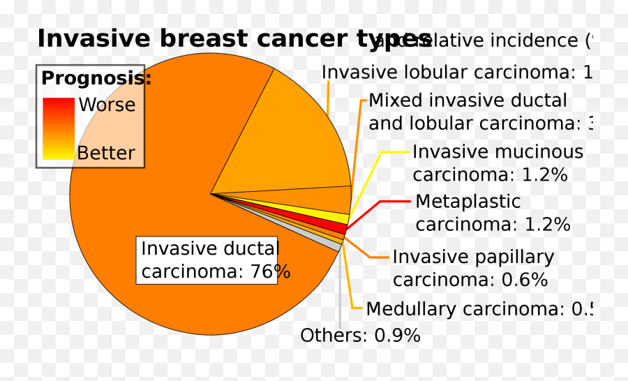 Filepie Chart Of Histopathologic Types Invasive Breast - Vertical Png,Breast Cancer Png