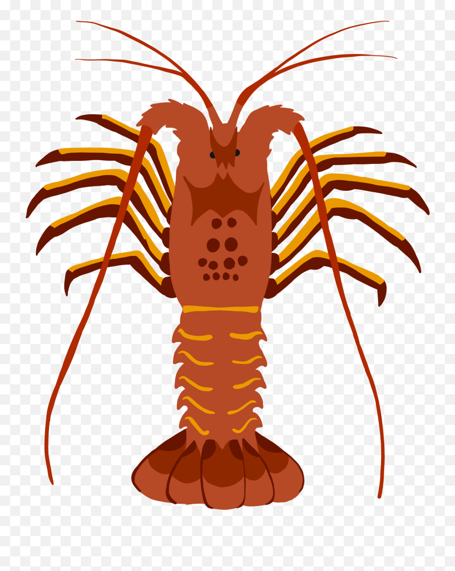 Spiny Lobster Report Cards Due By April 30 2019 U2013 Marine - Spiny Lobster Png,Lobster Png