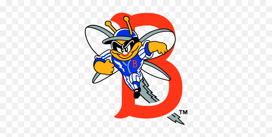 New York Mets Logo Vector For Pinterest - Binghamton Mets Bees Minor League Baseball Png,Mets Logo Png