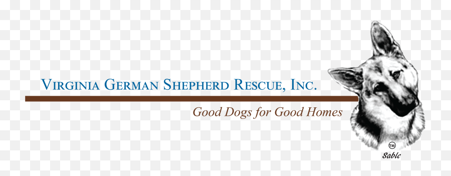 Virginia German Shepherd Rescue - Language Png,German Shepherd Transparent