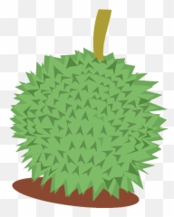 Durian Png - Durian Clipart,Durian Png