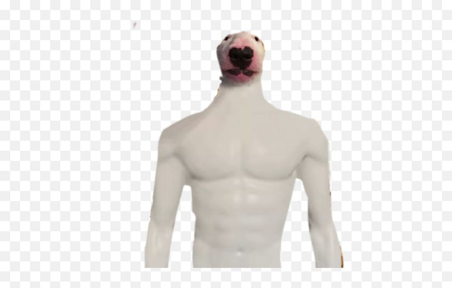 Walter With A Body Rdogelore Ironic Doge Memes Know - Muscle Walter Png,Doge Face Png
