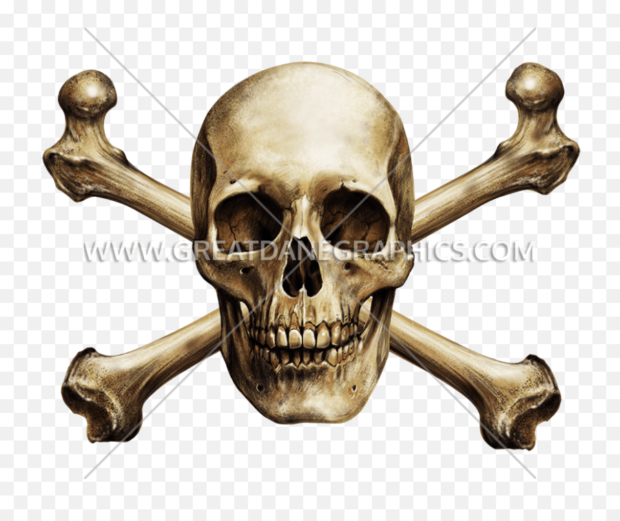 Skull Cross Bones - Skull And Bones Realistic Png,Skull And Bones Png